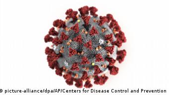 Illustration 2019 Novel Coronavirus Sars-CoV-2 (picture-alliance/dpa/AP/Centers for Disease Control and Prevention )