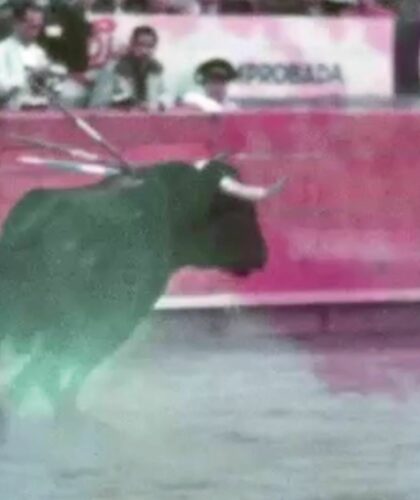 Journal désintégration