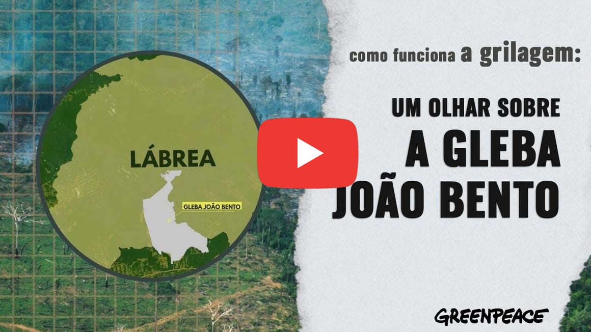 Assista o vídeo exclusivo: A Gleba João Bento!