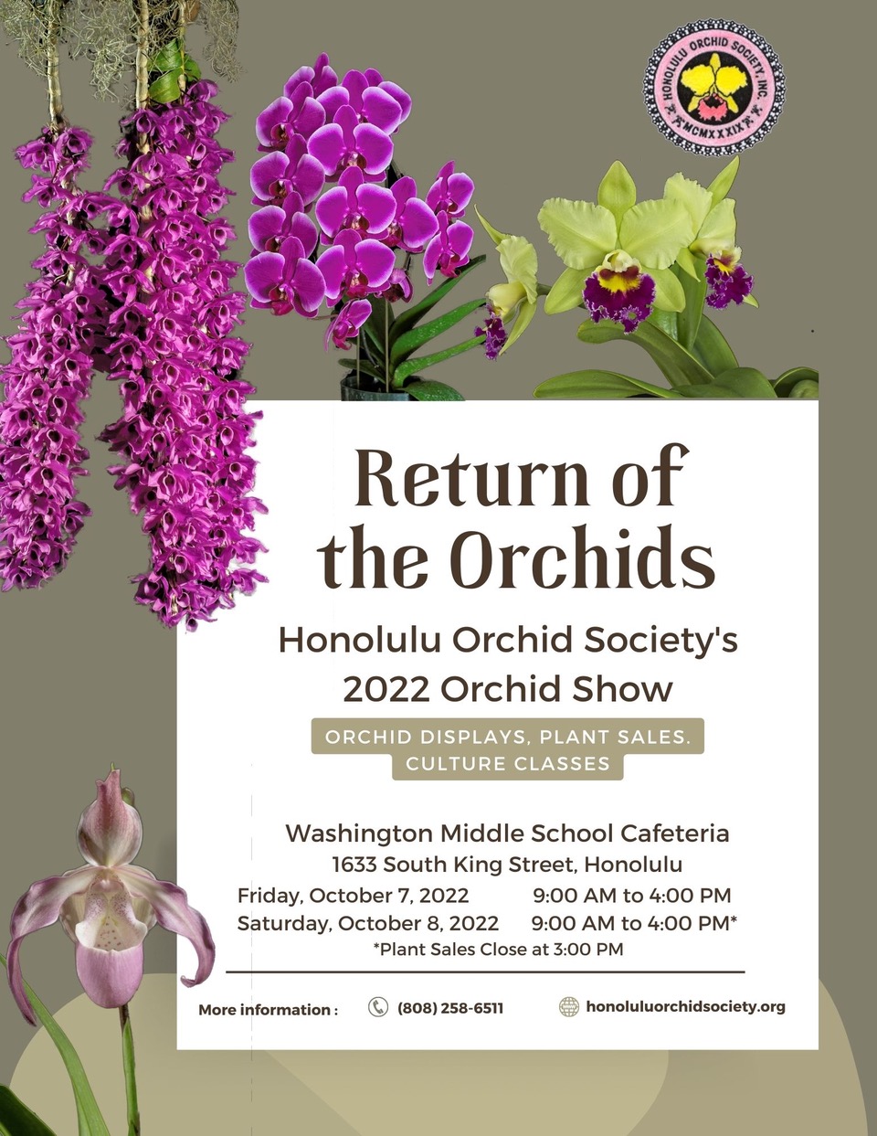 Return of the Orchids show poster