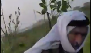 Video: Palestinians uproot trees planted in memory of Jewish girl brutally murdered by jihadist