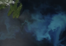 How Climate Change is Messing up the Ocean’s Biological Clock, a Potential Catastrophe