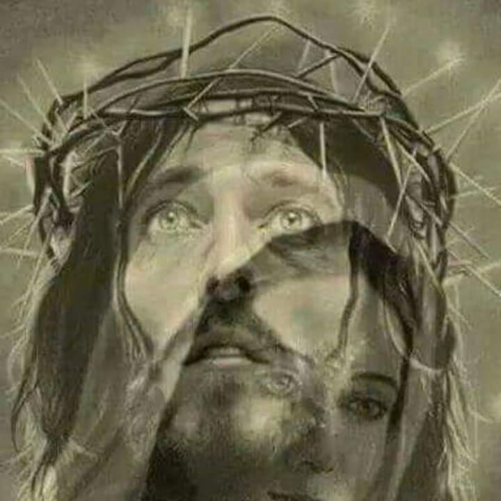 Gesù ci dice che la morte non è niente. Dagli scritti di Maria Valtorta. - La Luce di Maria