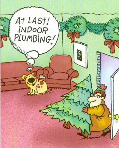Image result for the christmas tree fainted