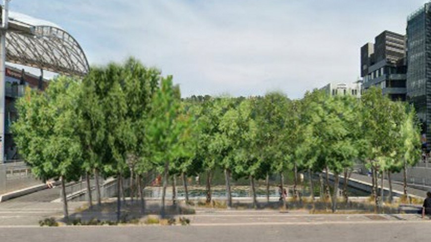 Pi&eacute;tonnisation du cours Charlemagne : 46 arbres plant&eacute;s par la M&eacute;tropole de Lyon