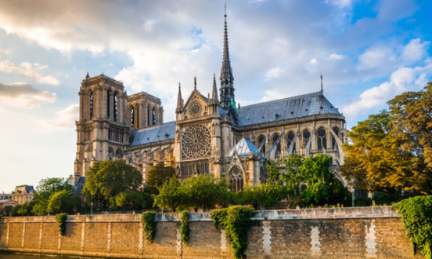 Non à l'abattage de chênes centenaires pour la charpente de Notre Dame de Paris