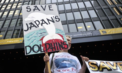 Arrêt du massacre des dauphins au Japon.
