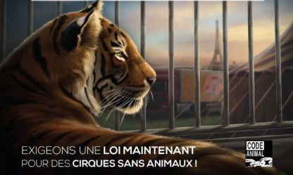 Aix-en-Provence contre les animaux sauvages dans les cirques
