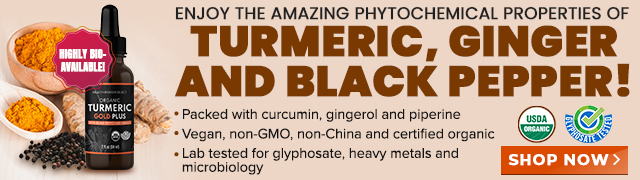Organic Turmeric Gold Plus with Black Pepper and Ginger