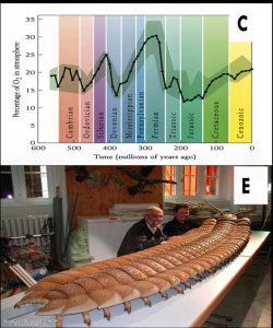 mail?url=https%3A%2F%2Fwww.newstarget.com%2Fwp-content%2Fuploads%2F2024%2F03%2Foxygen-levels-geological-periods-250x300.jpg&t=1710928139&ymreqid=b16ac307-28b6-2bc8-1c33-e2004e01e700&sig=lGADRmBUVCAsPZWIXIypZQ--~D