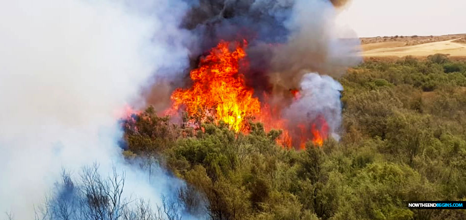 Gaza incendiary balloons spark dozens of fires in southern Israel
