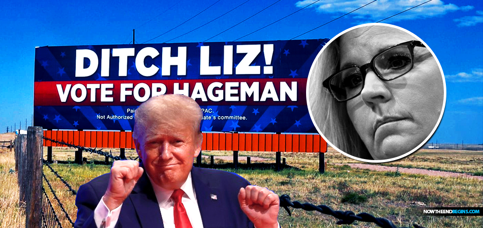 donald-trump-scores-huge-maga-win-as-liz-cheney-loses-big-in-wyoming-harriet-hageman