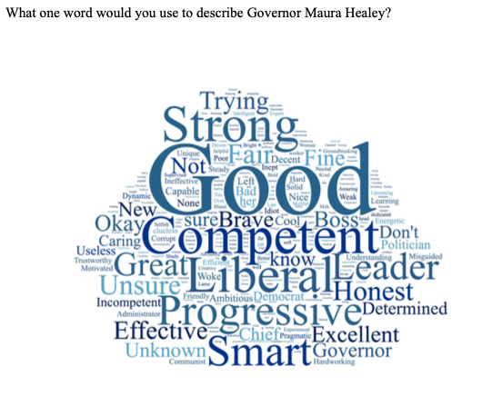 UMass Amherst poll word cloud