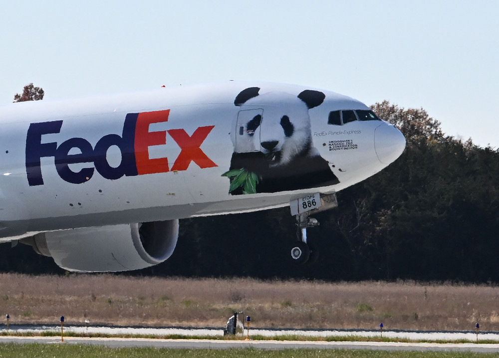 The 'Panda Express' takes off as it transports giant pandas from the Smithsonian's National Zoo at Dulles International Airport. 