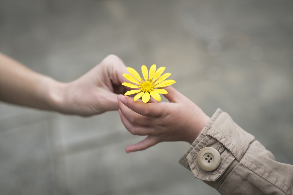 Spread Kindness: 25 Easy, Free things you can do TODAY | PrettyExtraordinary.com