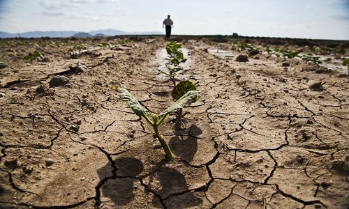 drought