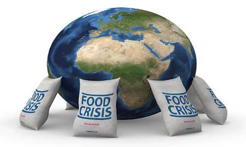 Food Crisis