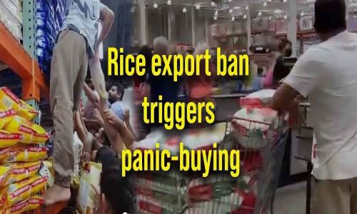 Rice Panic