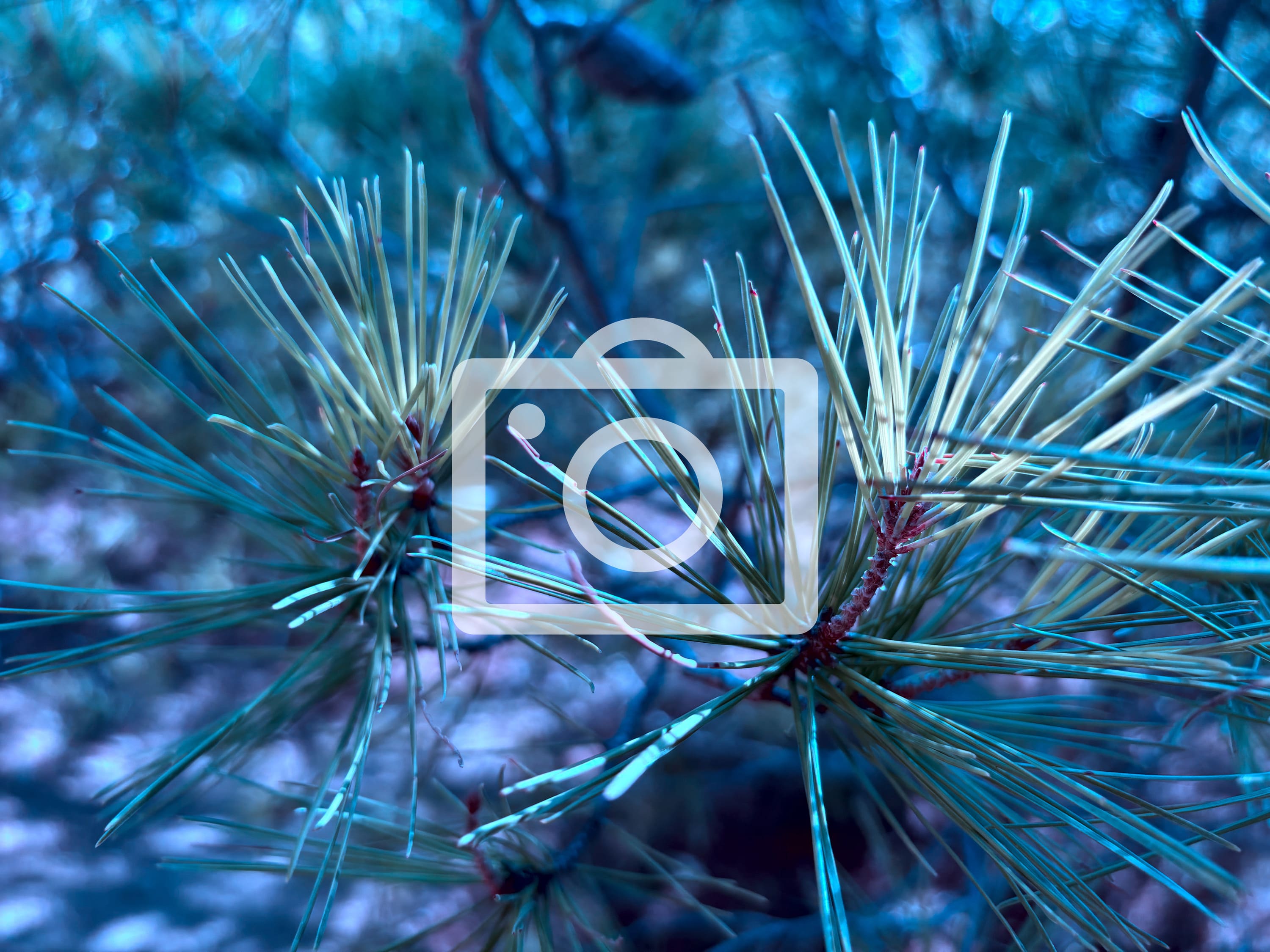 'Bezimena', de Nina Bunjevac.- RESERVOIR BOOKS