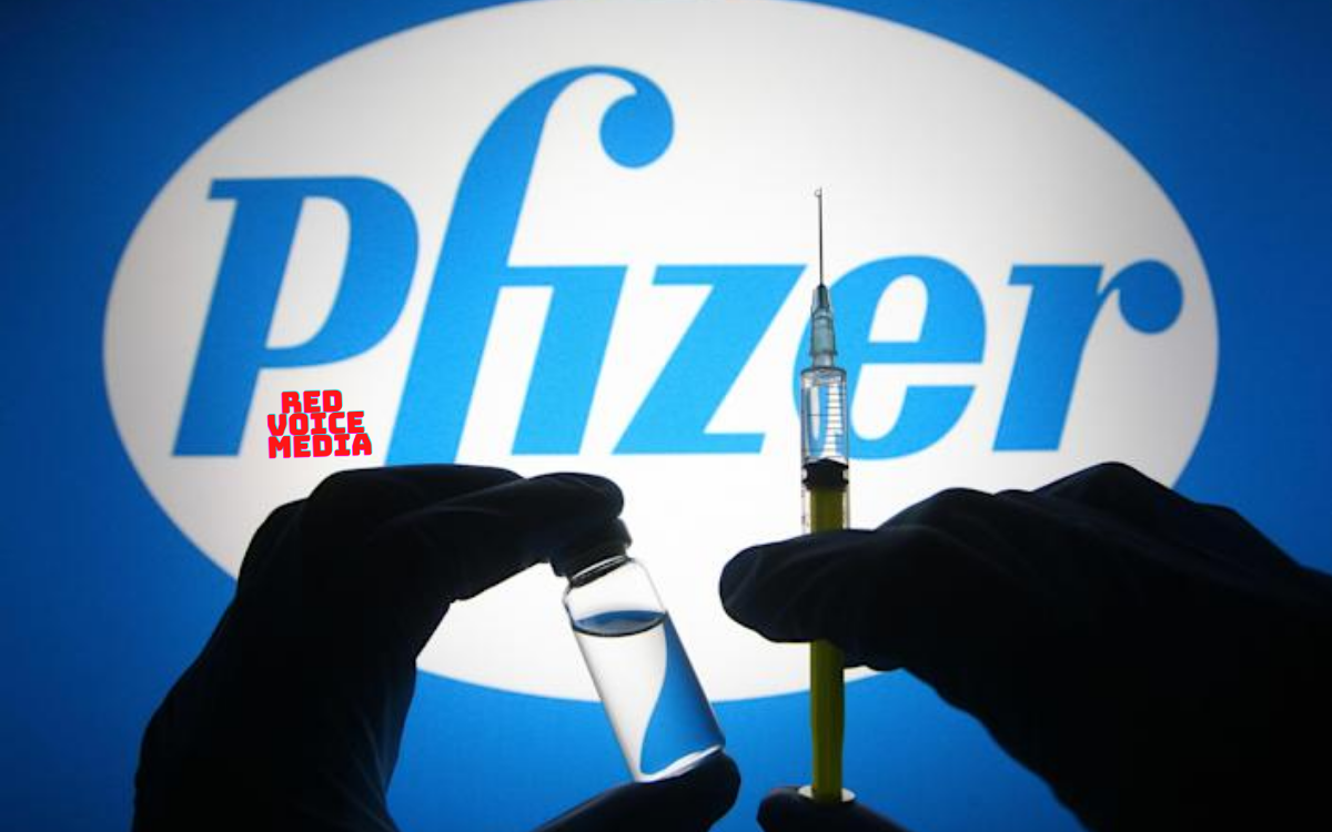 Pfizer Pulls Application For COVID Jab Approval In India After Country Requested Local Trials