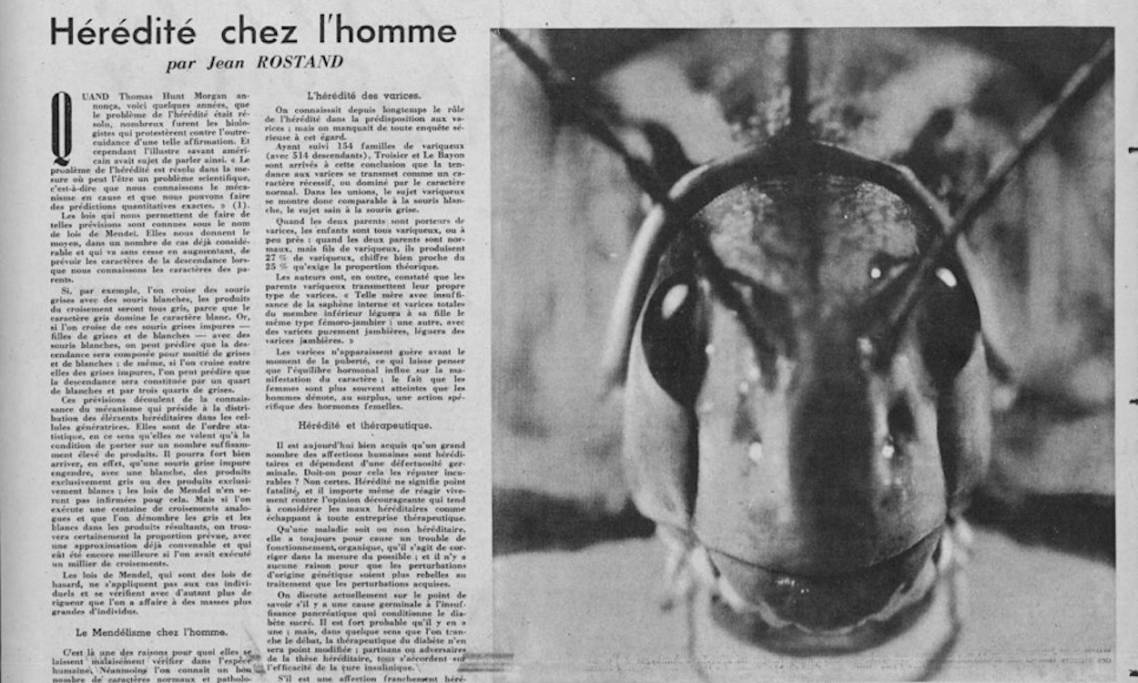 Les transhumanistes français des années 1930 : au cœur d'une utopie