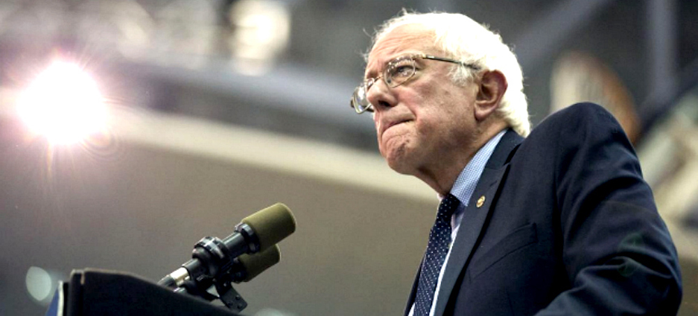 Bernie Sanders. (photo: Antonella Crescimbeni)