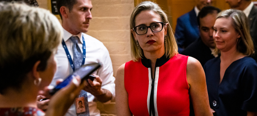 Kyrsten Sinema is begging for a primary challenge. (photo: Michael Brochstein/Shutterstock)