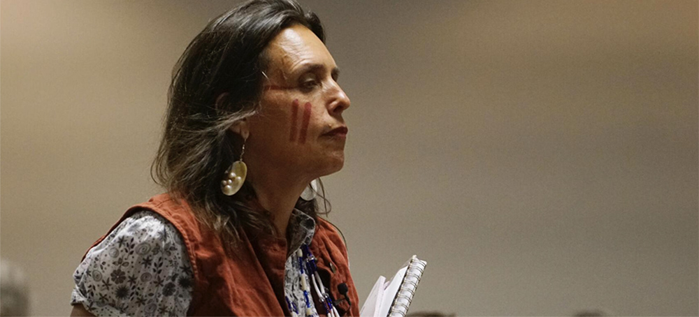 Winona LaDuke, of Honor the Earth, attends a Public Utilities Commission meeting June 28, 2018, in St. Paul, Minnesota. (photo: AP)