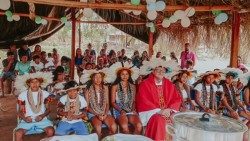 Dom Neri José Tondello: os indígenas
